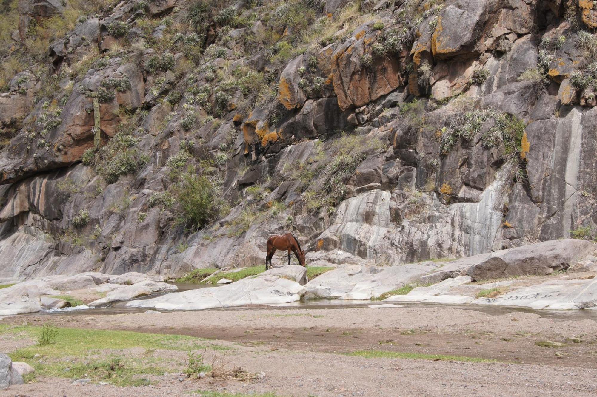 Altos Del Valle San Agustín de Valle Fértil Exterior photo