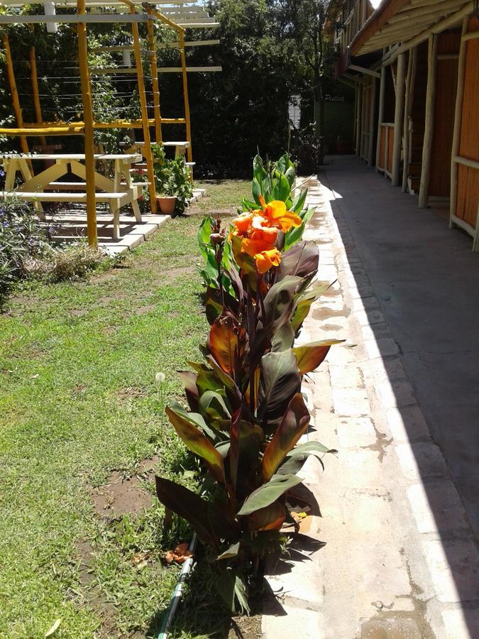 Altos Del Valle San Agustín de Valle Fértil Exterior photo